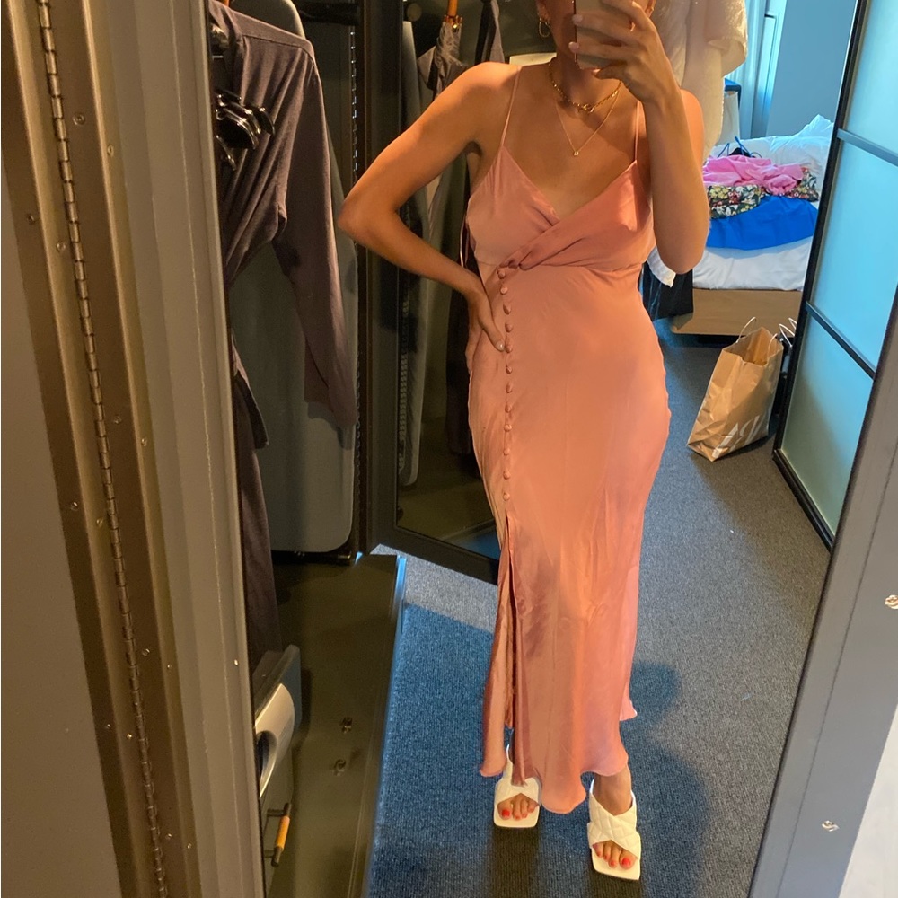 NWT Zara Pink Maxi Dress